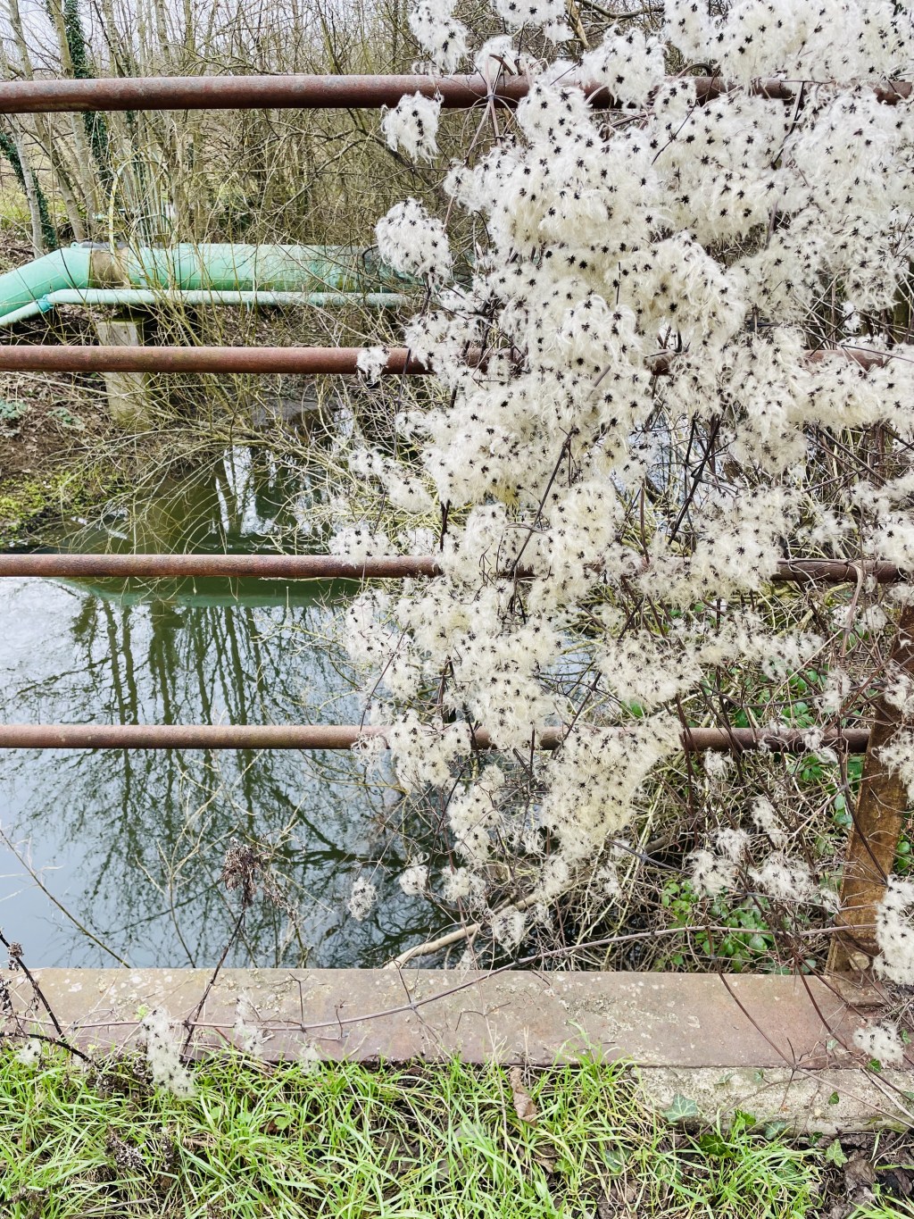 Who Is Inspiring You? 